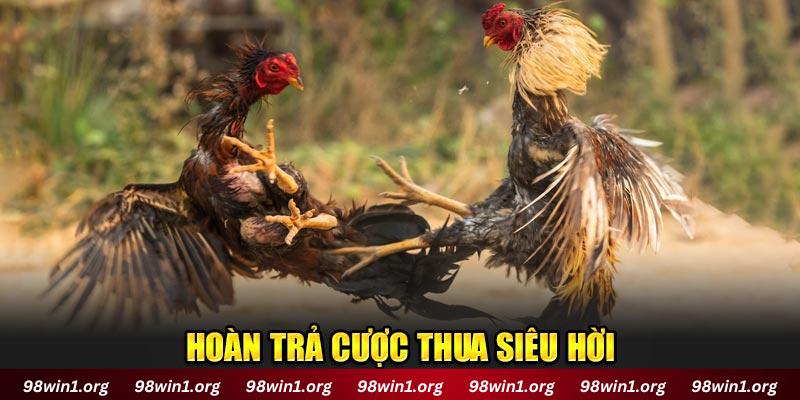 Hoàn trả tiền thua siêu hời